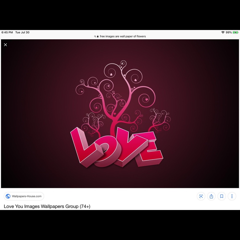 Meet your Posher, Judy